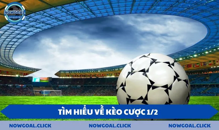 tim hieu ve keo cuoc 1 2 Tìm hiểu về kèo cược 1/2